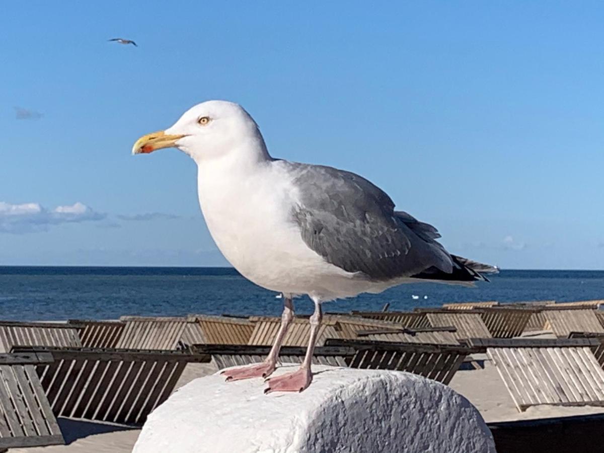 Fewo Lust Auf Laboe Eksteriør bilde